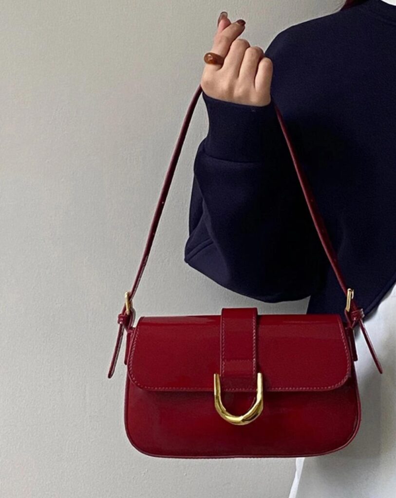 websynergy stylish bag